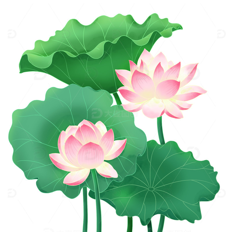 源文件下载【趣麦麦图】手绘粉色发光莲花荷花夏天荷叶插画元素