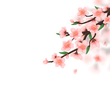 手绘春天桃花海报节气装饰元素