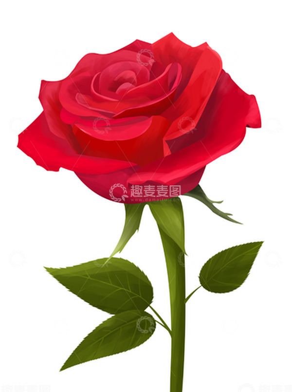 源文件下载【趣麦麦图】-红色玫瑰花情人节元素