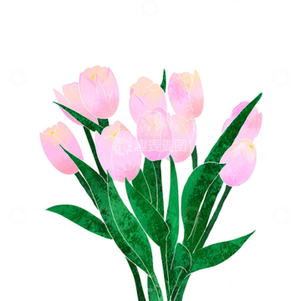 源文件下载【趣麦麦图】小清新手绘郁金香粉色花朵