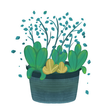 植物 景盆 花盆 绿叶 插画 盆栽