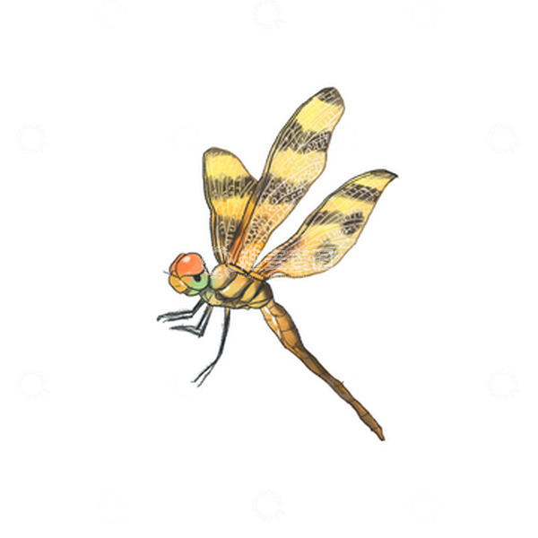 源文件下载【趣麦麦图】立夏蜻蜓免抠元素