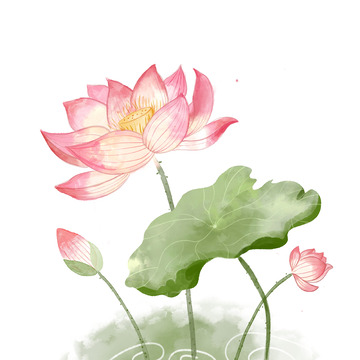 春夏雨季清明节园林气机理水彩荷花素材