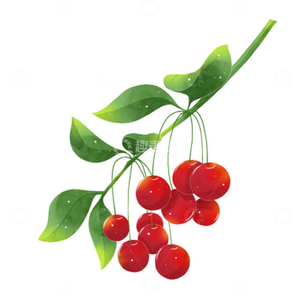 源文件下载【趣麦麦图】清新水果系列水彩樱桃