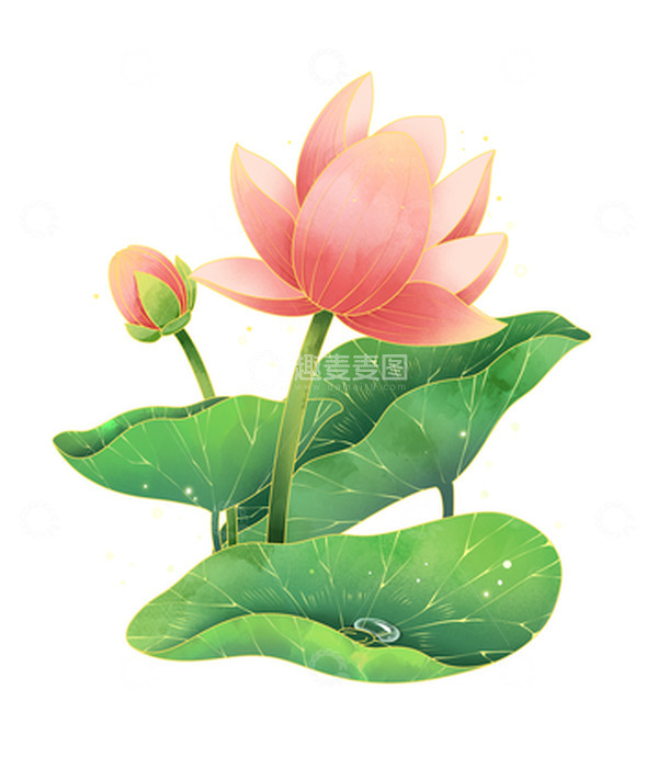 源文件下载【趣麦麦图】立夏夏至荷花荷叶手绘元素
