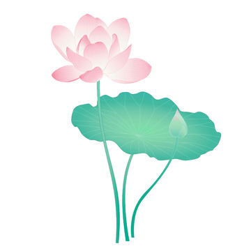 渐变小清新国潮立夏夏季荷花