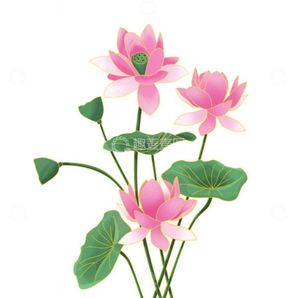 源文件下载【趣麦麦图】中国风国潮噪点手绘荷花莲蓬荷叶植物元素