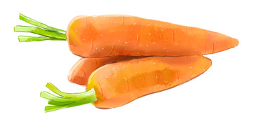 手绘绿色蔬菜胡萝卜