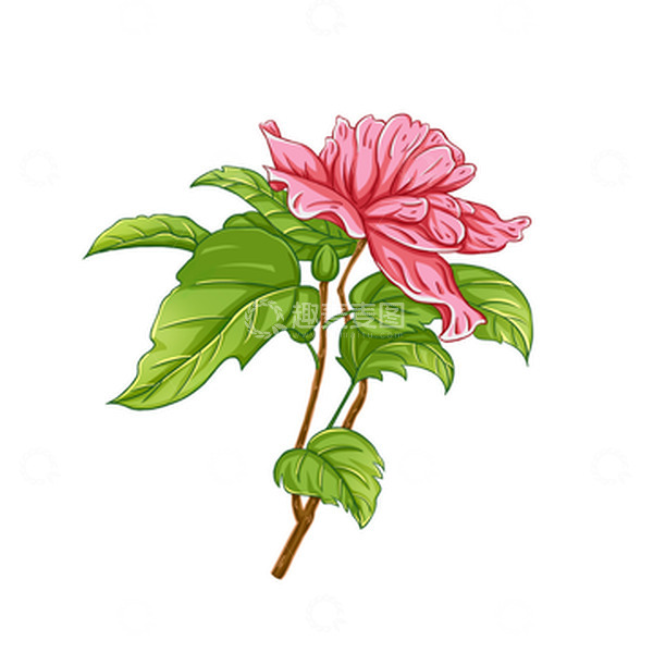 源文件下载【趣麦麦图】手绘花朵夏季盛开