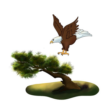 松树 手绘老鹰