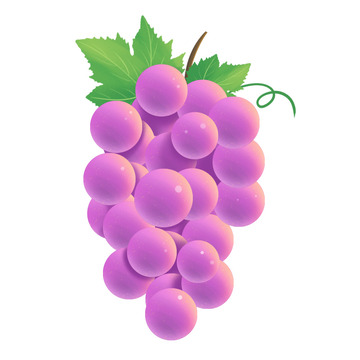 食物水果紫色葡萄元素