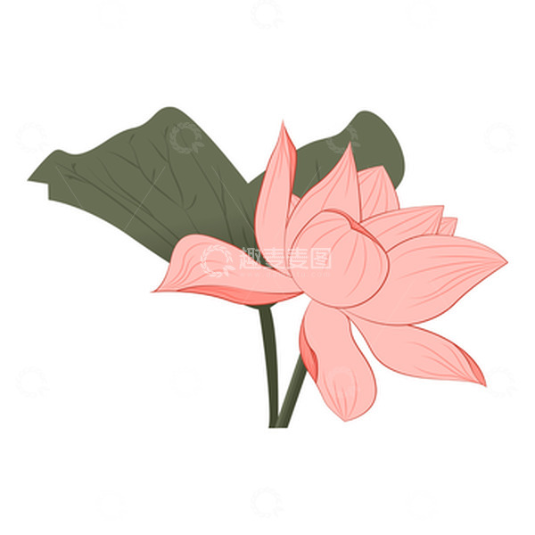 源文件下载【趣麦麦图】立夏夏天荷花荷叶国画国风元素
