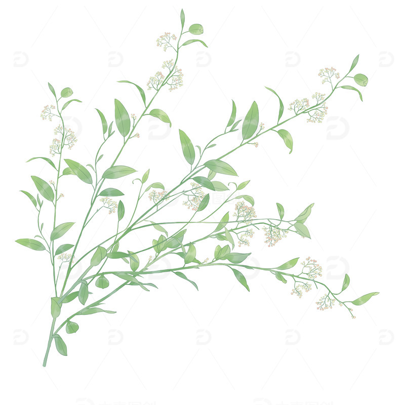 手绘清新绿色叶子