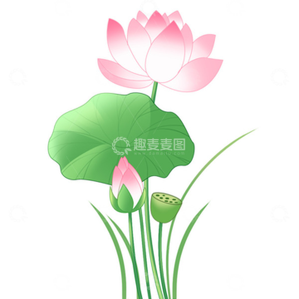 荷花荷叶水墨淡雅新中式夏日荷花