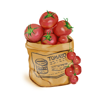 番茄手绘番茄西红柿一袋子番茄