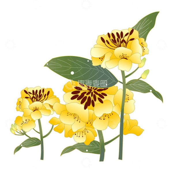 源文件下载【趣麦麦图】黄色春天小清新花草油菜花手绘装饰