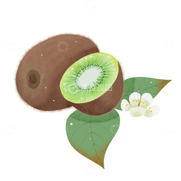 源文件下载【趣麦麦图】清新水果系列水彩猕猴桃