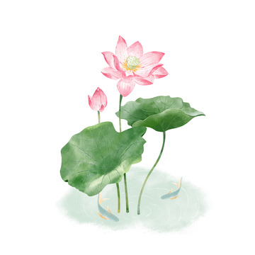 清新水彩荷塘荷花