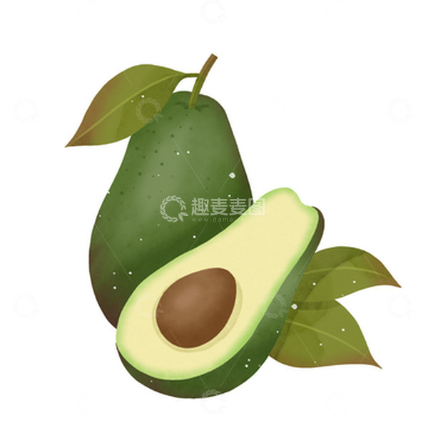 源文件下载【趣麦麦图】清新水果系列水彩牛油果