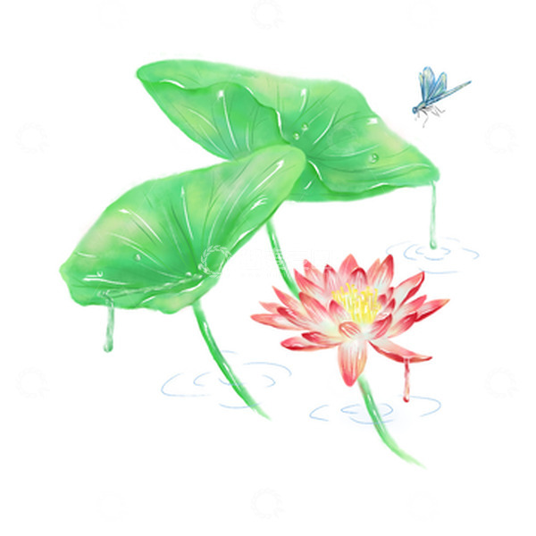 源文件下载【趣麦麦图】立夏荷塘荷叶荷花蜻蜓