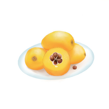 盛夏的果实枇杷