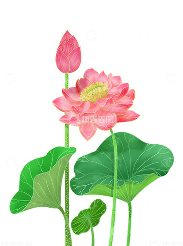 源文件下载【趣麦麦图】-立夏夏天国潮风新国风荷花荷叶