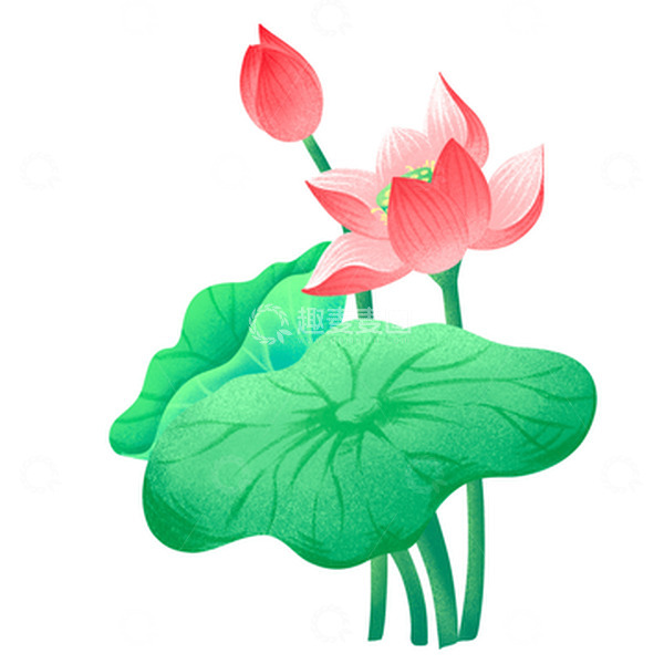 源文件下载【趣麦麦图】扁平荷花莲花插画元素