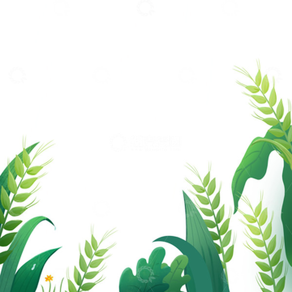 源文件下载【趣麦麦图】麦穗植物边框