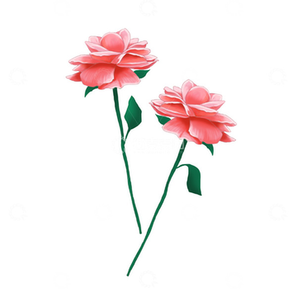 源文件下载【趣麦麦图】520手绘玫瑰鲜花浪漫花朵
