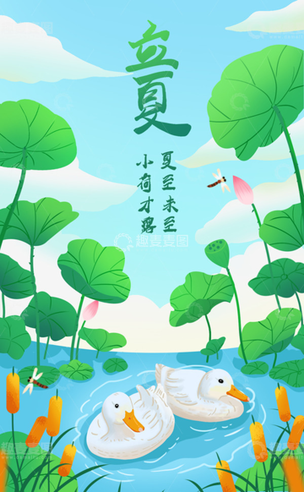 源文件下载【趣麦麦图】夏天荷叶鸭子荷塘立夏蜻蜓芦苇丛