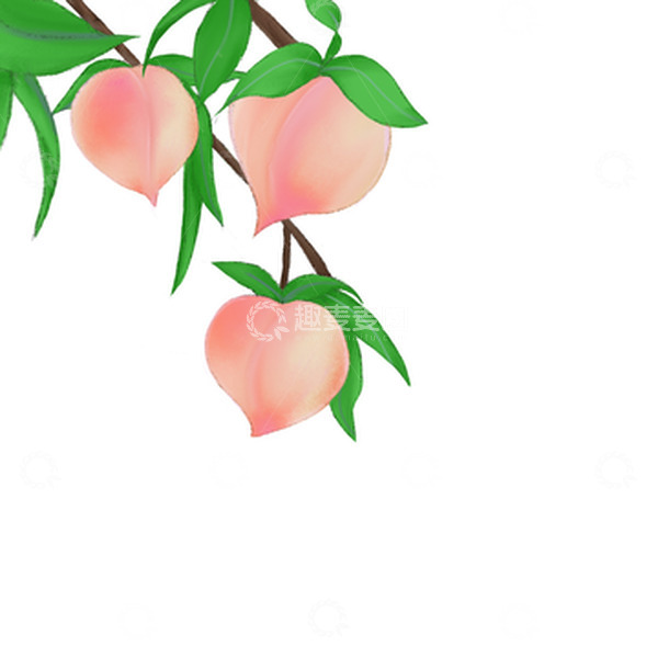 源文件下载【趣麦麦图】-水果水蜜桃枝条