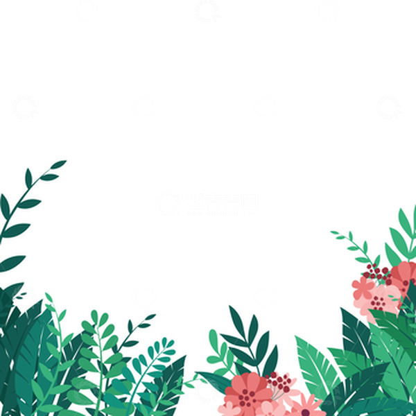 夏天花草叶子绿叶花朵