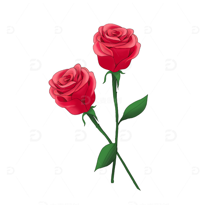 520红玫瑰单枝玫瑰花