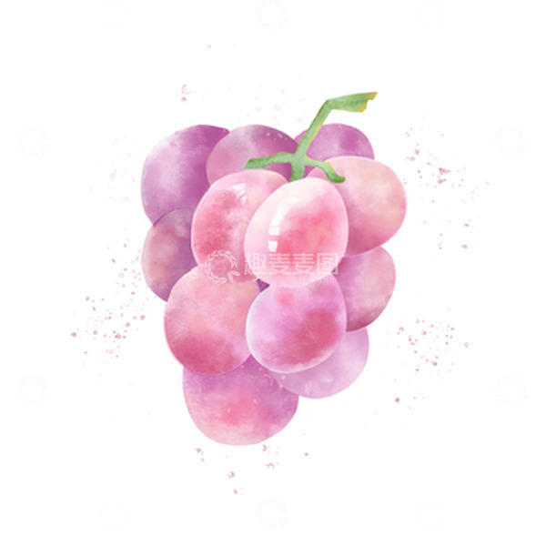 源文件下载【趣麦麦图】葡萄  水彩  植物  渐变