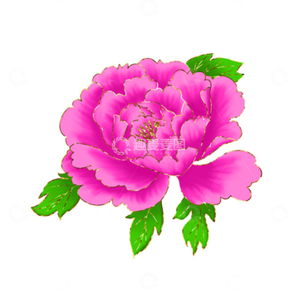 源文件下载【趣麦麦图】鲜花花卉牡丹花朵