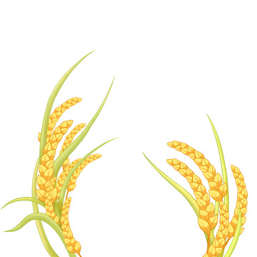 节气小满手绘水稻小麦农作物组合