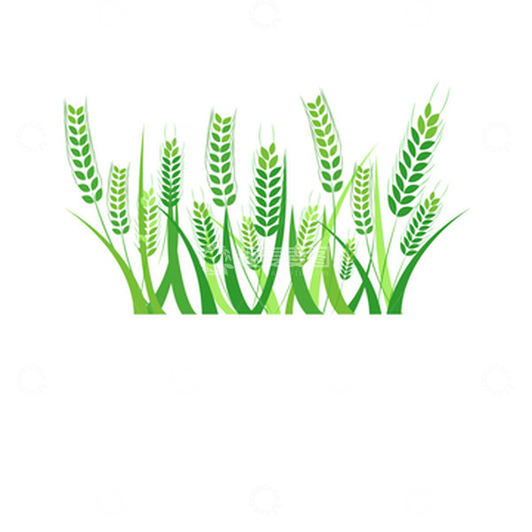 源文件下载【趣麦麦图】二十四节气小满麦穗稻穗麦子农田农忙植物