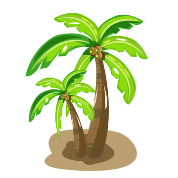 夏天暑假大海夏季椰子树