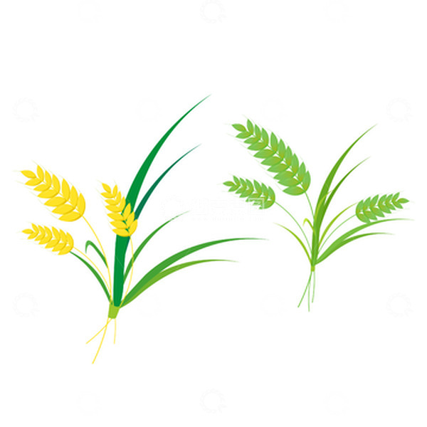 源文件下载【趣麦麦图】卡通麦穗手绘图