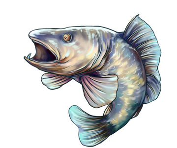 手绘肉食性动物鱼素材