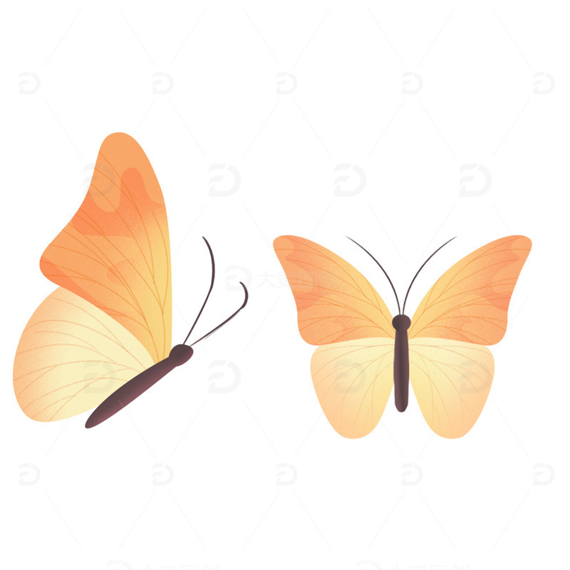 手绘蝴蝶昆虫元素