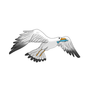 吃鱼的海洋动物海鸥