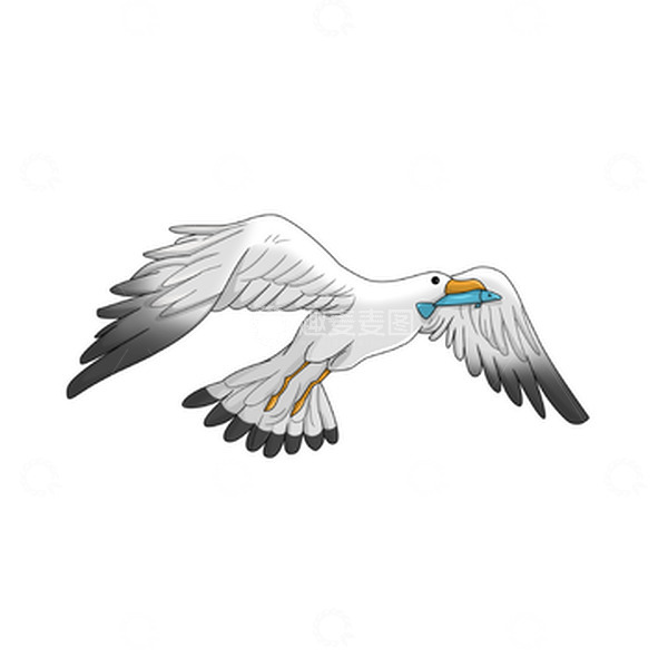 源文件下载【趣麦麦图】吃鱼的海洋动物海鸥