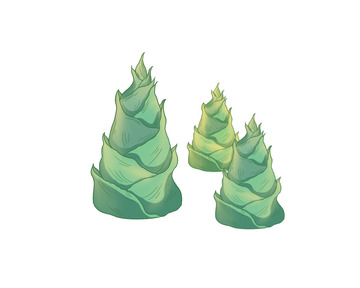 春天长出嫩嫩的竹笋