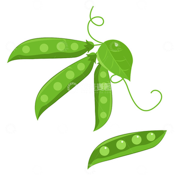 源文件下载【趣麦麦图】绿色卡通豆角手绘图