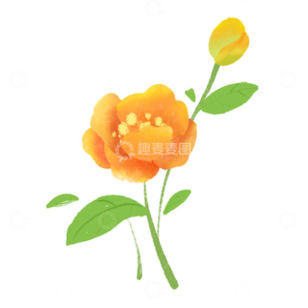 源文件下载【趣麦麦图】-小清新手绘花朵花卉装饰