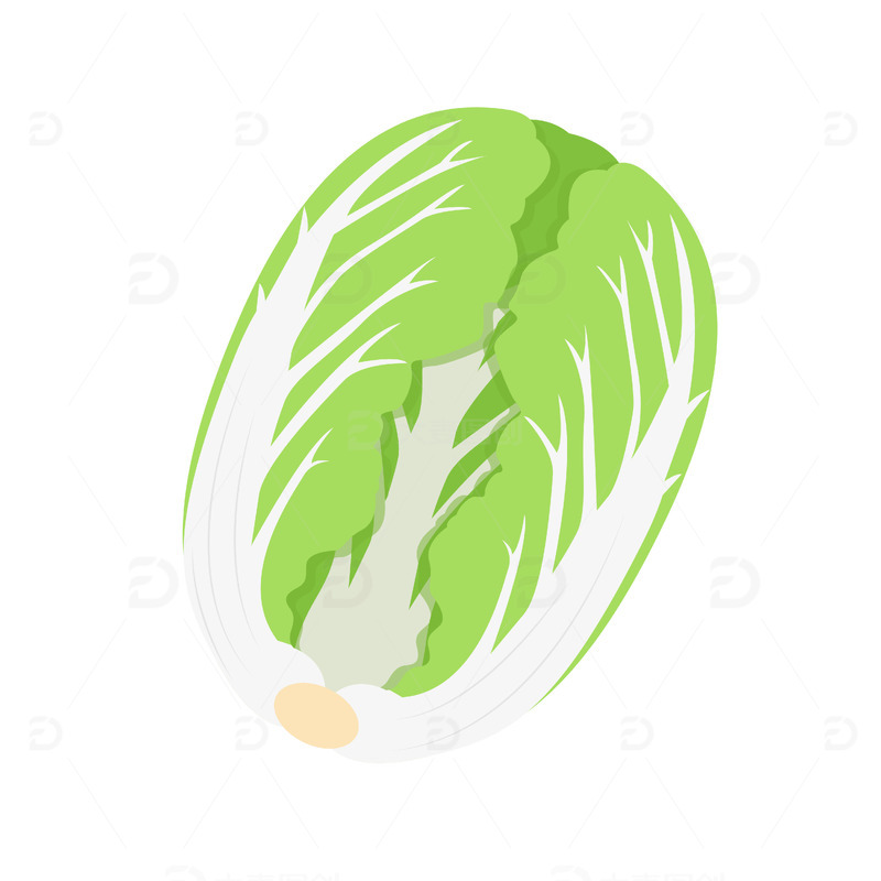 卡通手绘白菜