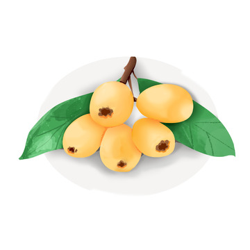 手绘枇杷水果插画元素