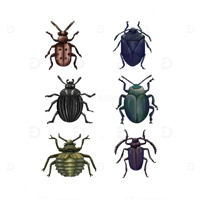 源文件下载【趣麦麦图】甲虫 昆虫 手绘卡通