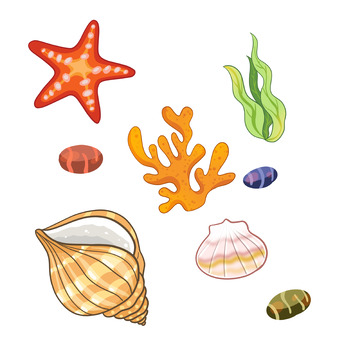 海星海螺贝壳元素
